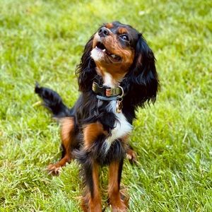 Meet your Posher, Katherine